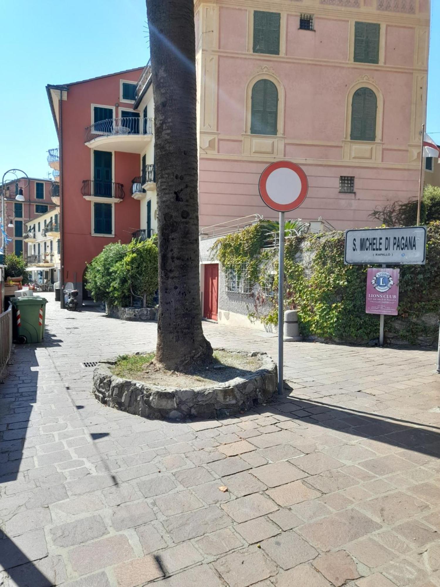 Sweet Lucy Leilighet Rapallo Eksteriør bilde